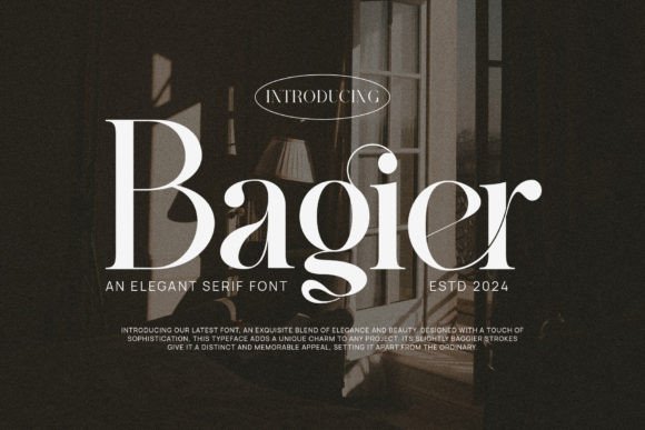 Download Bagier - Premium Resources