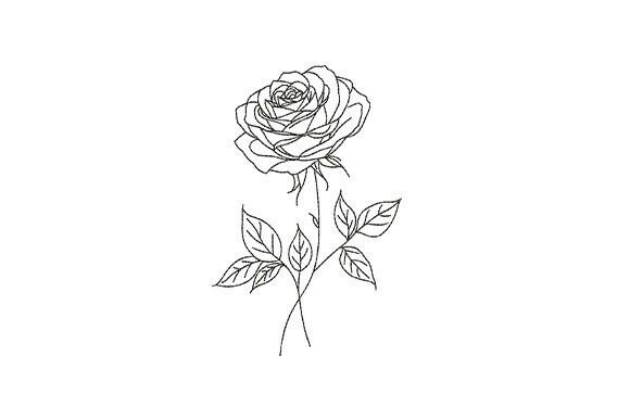 Download Minimal Rose Flower Botanical - Minimal Collection